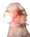 Uuhhguasdhasdhghuuuuhuubu emoji