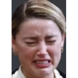 Dogsteppedonabee emoji