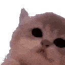 Kittyjam emoji