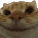 Yesyes emoji