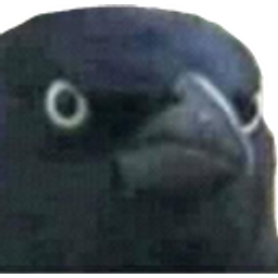 Angrycrow emoji