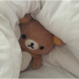 Bear Cox Bed emoji