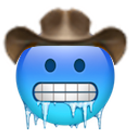 Cold Face Cowboy emoji