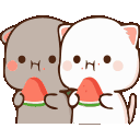 Catswatermelon emoji