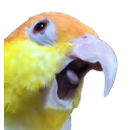 Birdpog emoji