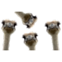 Emu Hi E emoji