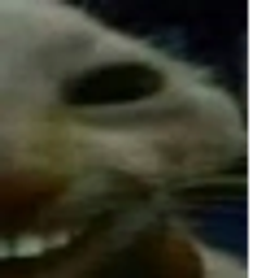 Xdd 2 emoji