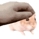 Hamster Pet emoji