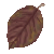 Elm Leaf emoji