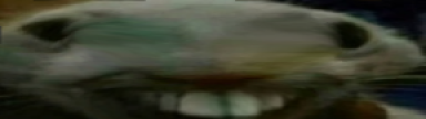Widexpp emoji
