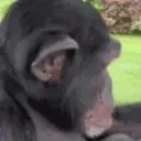 Apejam emoji
