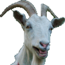 Goat Jams emoji