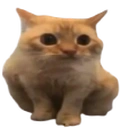 Spoingus emoji
