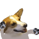 Corgi Dance emoji