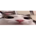 Framerate emoji
