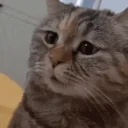 Mau emoji