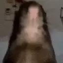 Areyouarat emoji