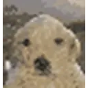 Perrolol emoji