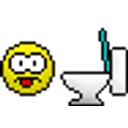 Vomit Into The Toilet emoji