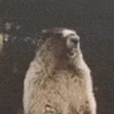 Gopher Scream emoji