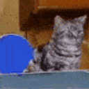Catpingpong emoji