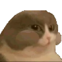 Catnum emoji