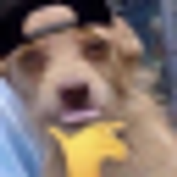 Swag Dog emoji