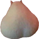 Absurd emoji