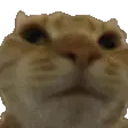 Nono emoji