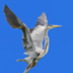 Primitive Nextgen emoji