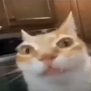 Caterm emoji
