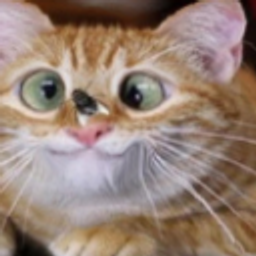 Flyoncat0 emoji