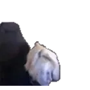 Xqcslam emoji