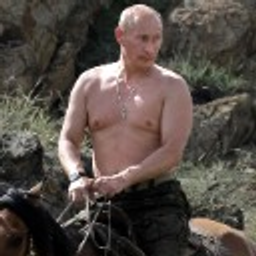 Putin Horse emoji