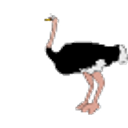 Ostrich emoji