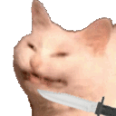 Cattostabbingback emoji
