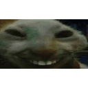 Xddtalk emoji