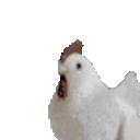 Chicken Squint emoji