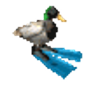 Duckflippers emoji