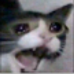 Noooocat emoji
