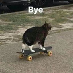 Byeskate emoji
