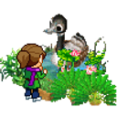 Duck Pond emoji