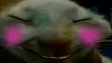 Xddshy emoji