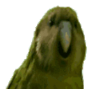 Rare Parrot emoji