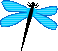 Dragonfly emoji
