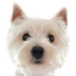 Westie emoji