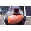 Snacking emoji