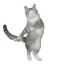 Glowsticks Dancingcat emoji