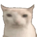 Cateat emoji