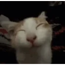 Ehehe emoji